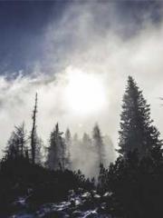 Falling for You: The