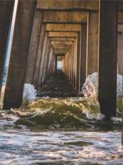 Shocking! This prota