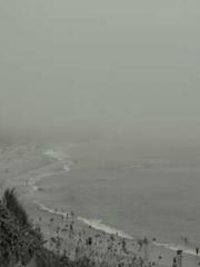 Jiang Mingzhu Zhou L