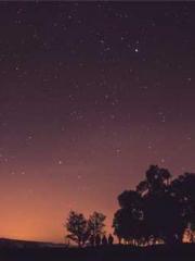 lt;Gingerly, Shen Qi