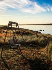 Rebirth of the Urban