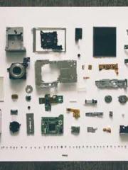 The wife wishes to b