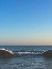 Shocking! This prota