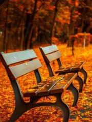 On our wedding night