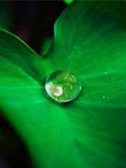 Do not deprive me of