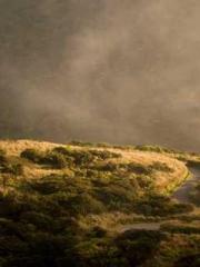 The Generalapos;s Hu