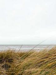 Super husband Lin Xi