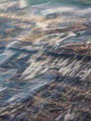 lt;Chasing the sea: 