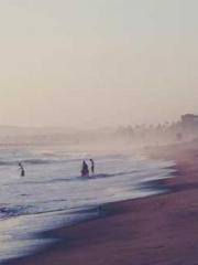 The Imperial Concubi