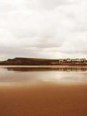 Bones-Eating Marriag