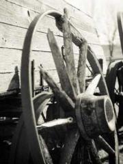 Lu Wanwan Li Jingche