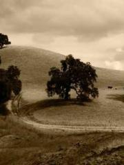 The Realm of the Dao