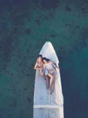 The Concubineapos;s 