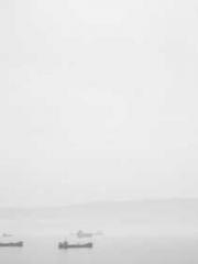 My pets are all amaz