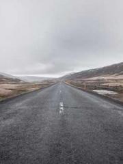 My pets are all amaz