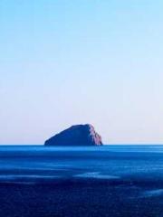 Becoming a solitary 