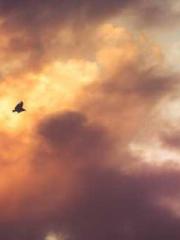 Shocking! This prota