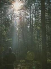 lt;Honor calls for N