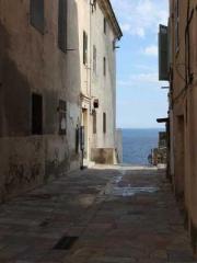 Retired War God Yang