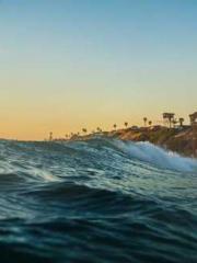 lt;Honor calls for N