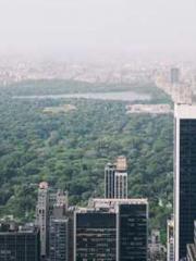 I Picked Up a Cultiv