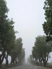 Girlfriends  lt;/pgt