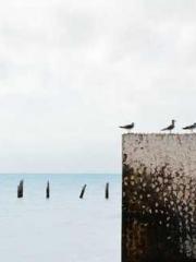 My pets are all amaz